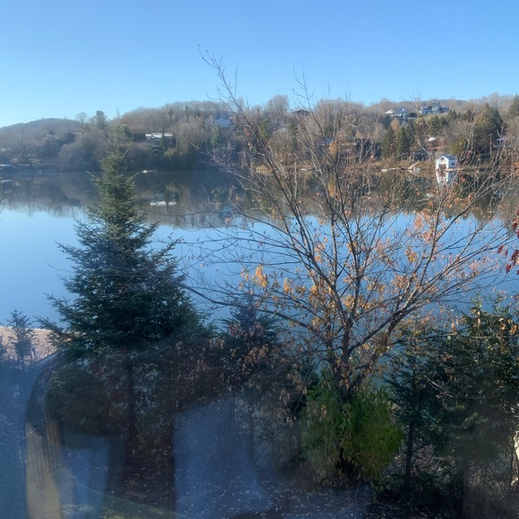 Meet your Posher, Jodi - Picture 1 of 1